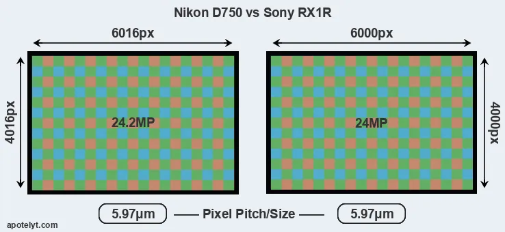 D750 versus RX1R MP