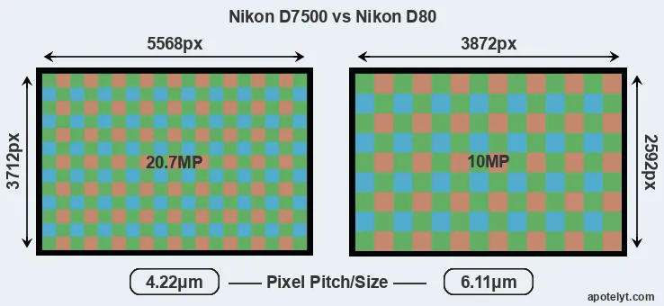 D7500 versus D80 MP