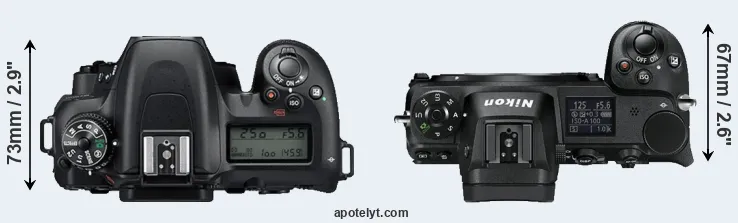 Compare D7500 versus Z6 top