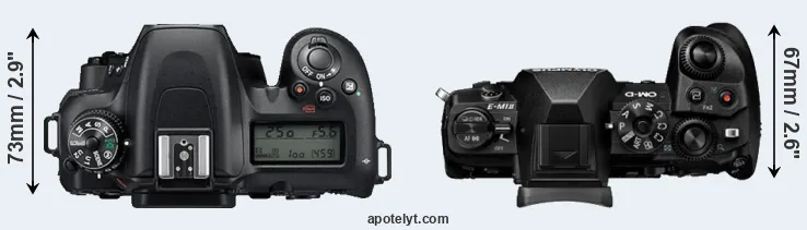 Compare D7500 versus E-M1 II top