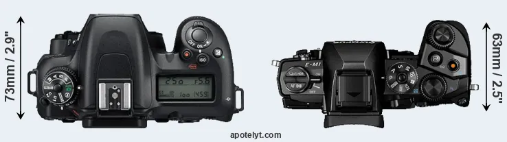 Compare D7500 versus E-M1 top