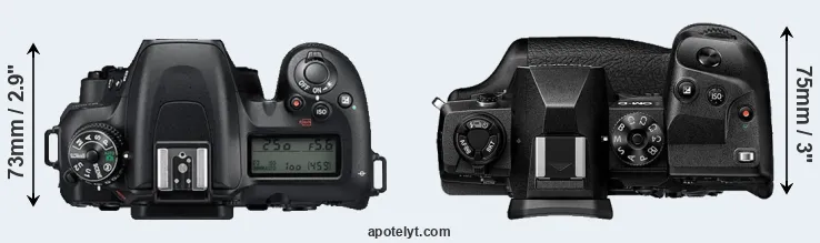 Compare D7500 versus E-M1X top