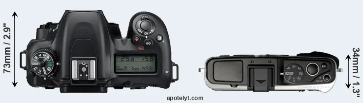 Compare D7500 versus E-P3 top