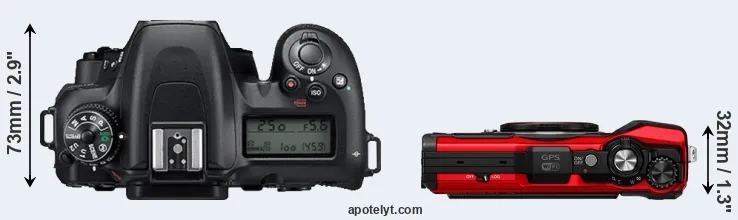 Compare D7500 versus TG-6 top