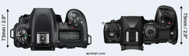 Compare D7500 versus OM-1 top