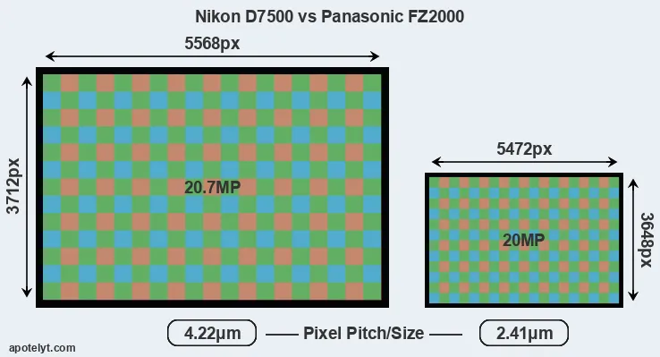 D7500 versus FZ2000 MP