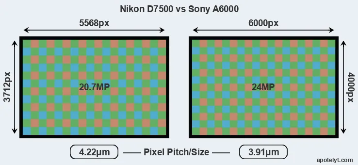 D7500 versus A6000 MP