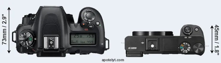 Compare D7500 versus A6000 top