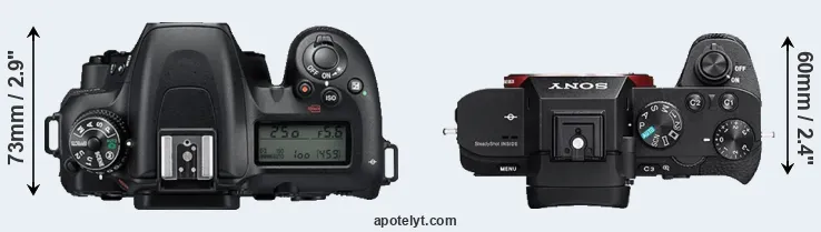 Compare D7500 versus A7 II top