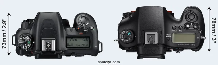 Compare D7500 versus A99 II top