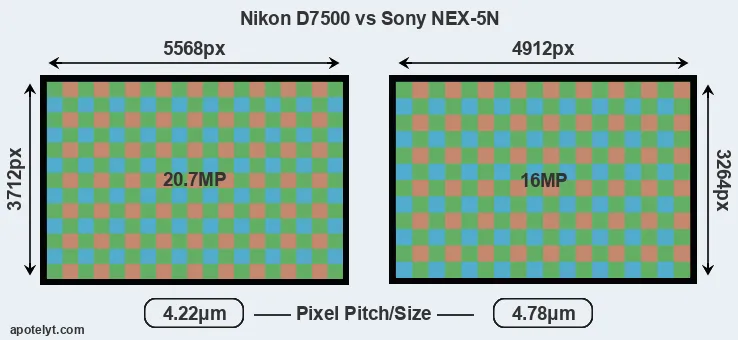 D7500 versus NEX-5N MP