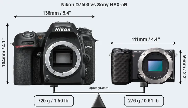 Size Nikon D7500 vs Sony NEX-5R