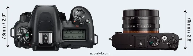 Compare D7500 versus RX1 top