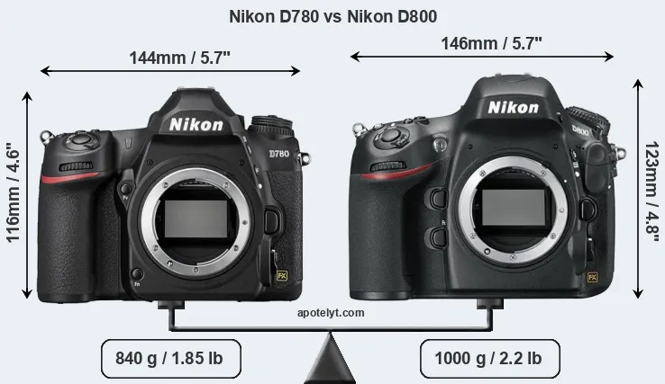 Size Nikon D780 vs Nikon D800