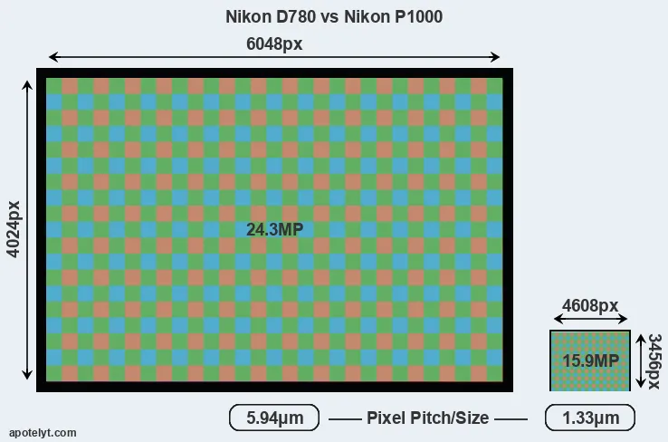 D780 versus P1000 MP