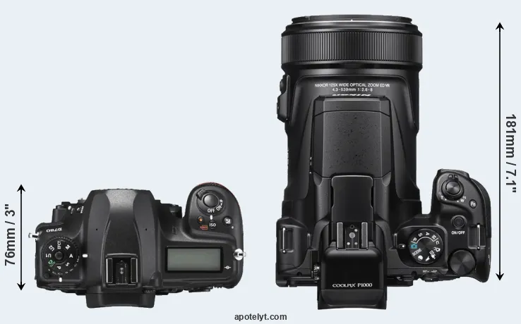 Compare D780 versus P1000 top