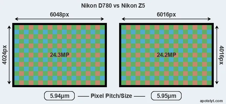 D780 versus Z5 MP