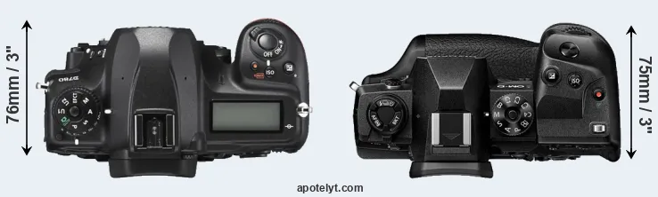 Compare D780 versus E-M1X top