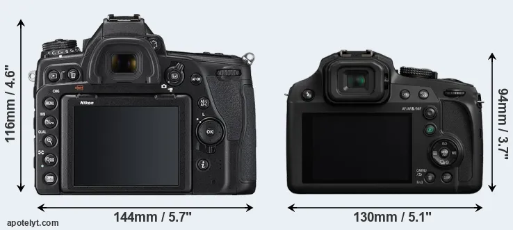 Comparison D780 or FZ82 rear