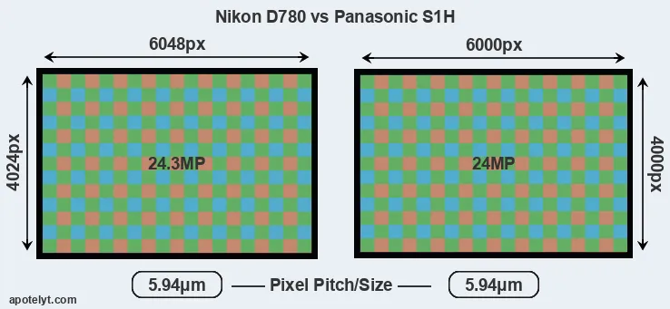 D780 versus S1H MP