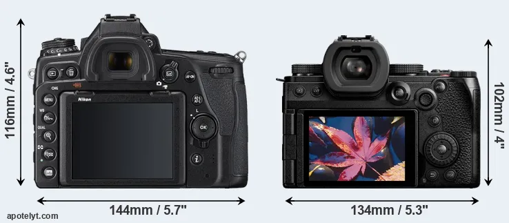 Comparison D780 or S5 II rear