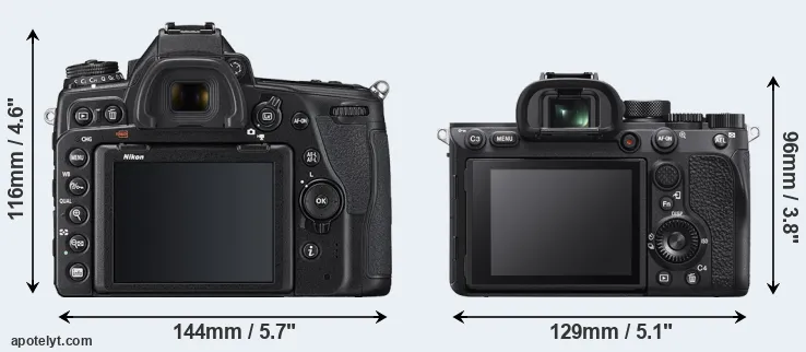 Comparison D780 or A7R IVA rear
