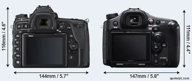 Comparison D780 or A99 rear