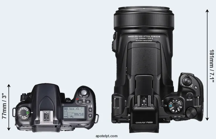 Compare D80 versus P1000 top