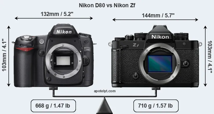 Size Nikon D80 vs Nikon Zf