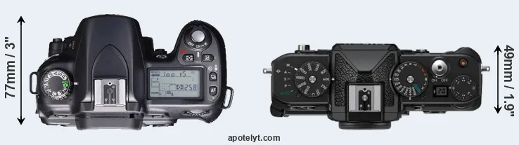 Compare D80 versus Zf top