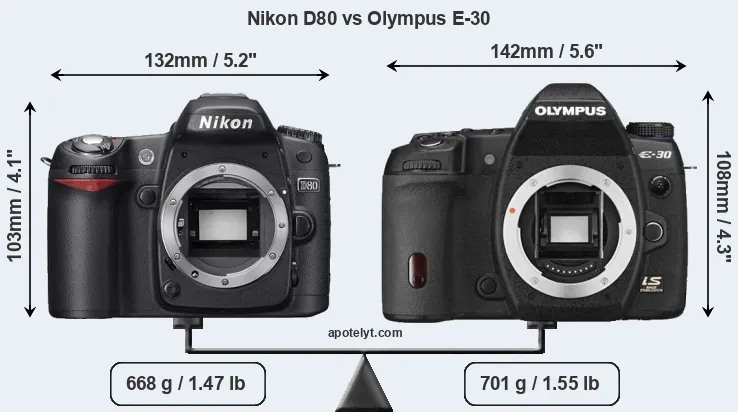 Size Nikon D80 vs Olympus E-30