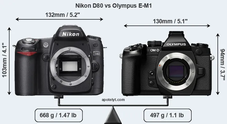 Size Nikon D80 vs Olympus E-M1
