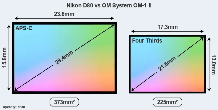 Nikon D80 and OM System OM-1 II sensor measures