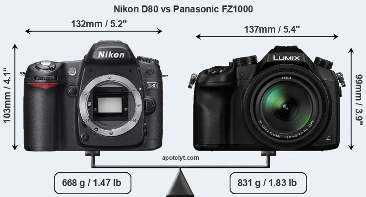 Size Nikon D80 vs Panasonic FZ1000