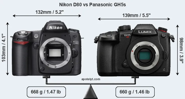 Size Nikon D80 vs Panasonic GH5s