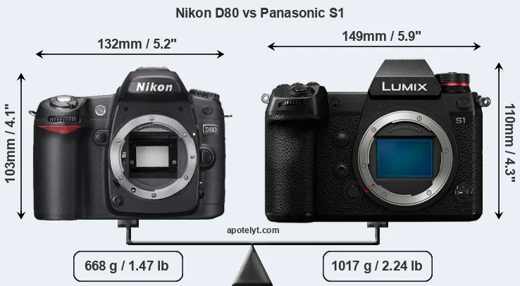 Size Nikon D80 vs Panasonic S1