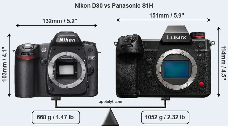 Size Nikon D80 vs Panasonic S1H