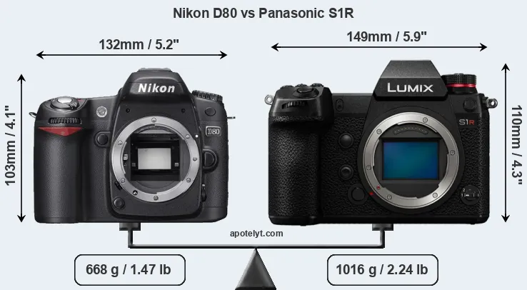 Size Nikon D80 vs Panasonic S1R