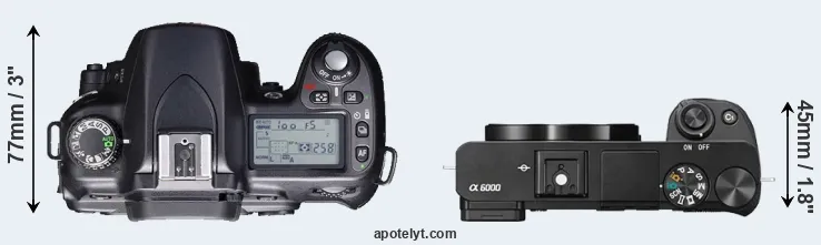 Compare D80 versus A6000 top