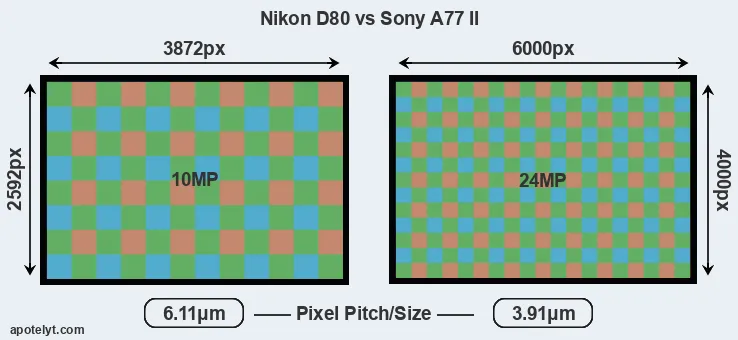 D80 versus A77 II MP