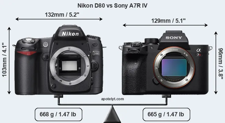 Size Nikon D80 vs Sony A7R IV
