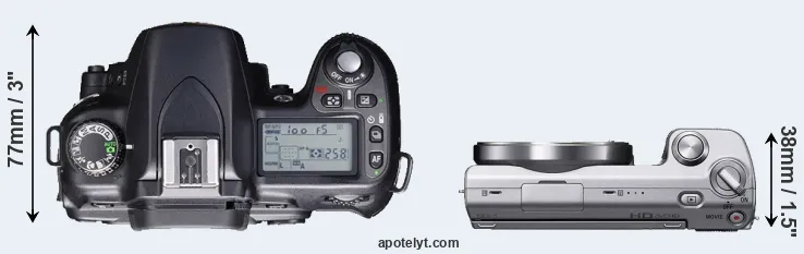 Compare D80 versus NEX-5 top