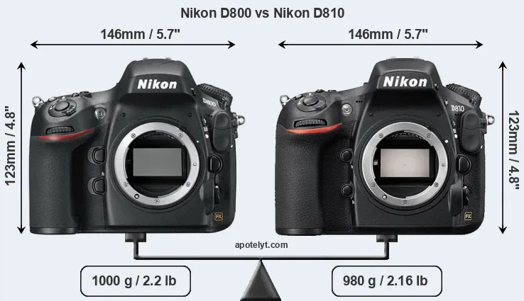 Size Nikon D800 vs Nikon D810