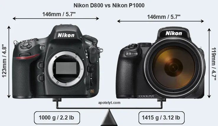 Size Nikon D800 vs Nikon P1000