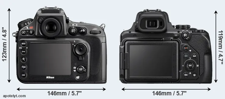 Comparison D800 or P1000 rear