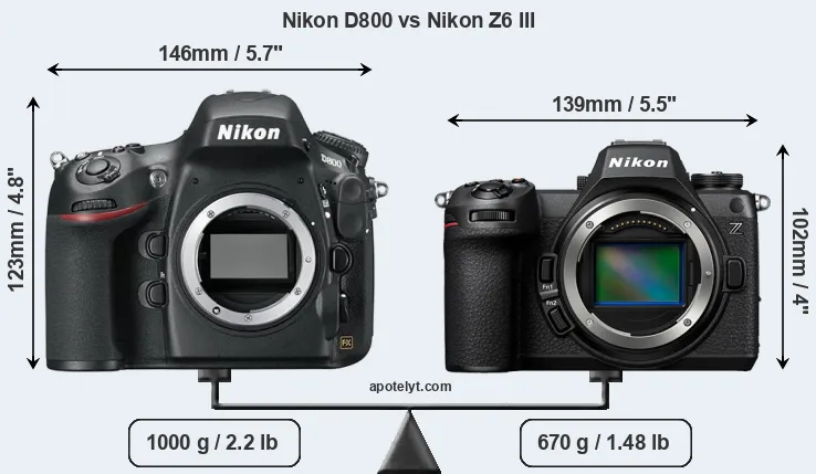 Size Nikon D800 vs Nikon Z6 III