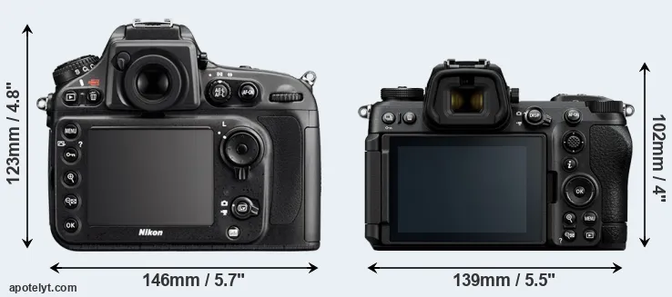 Comparison D800 or Z6 III rear