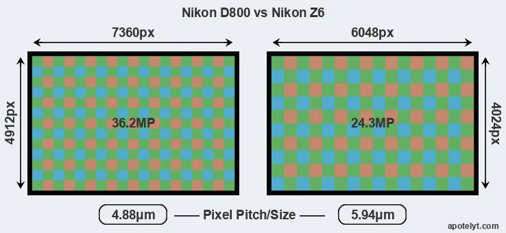 D800 versus Z6 MP