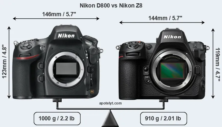 Size Nikon D800 vs Nikon Z8