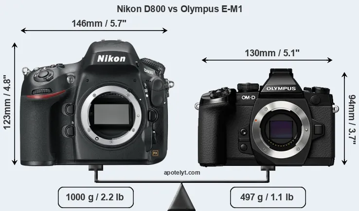 Size Nikon D800 vs Olympus E-M1